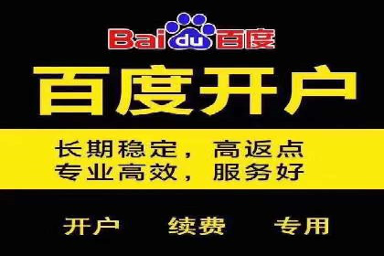 某公司通过百度竞价实现业务快速增长的案例